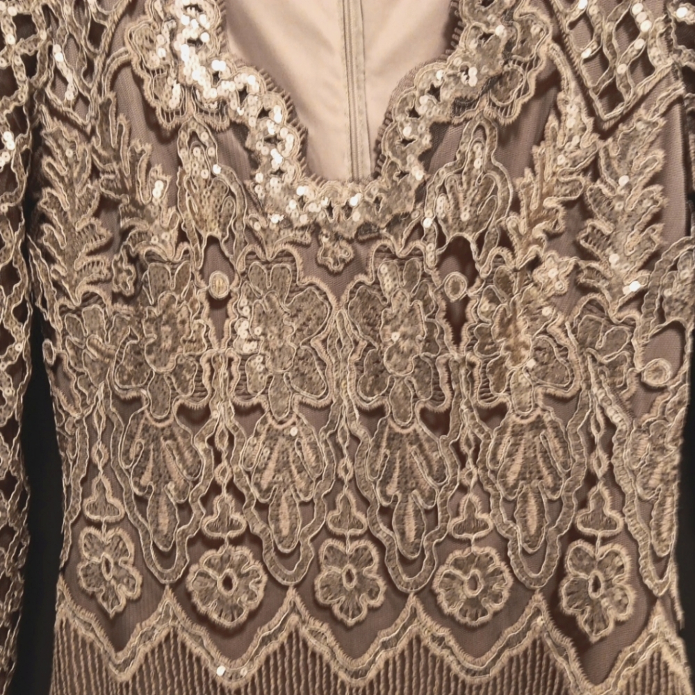 Tadashi Sojhi Coture Cocktail Dress Size 6